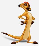 timon.jpg image by Switchfeets