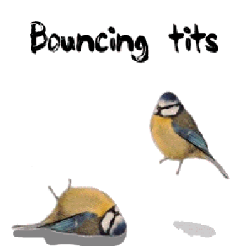http://th196.photobucket.com/albums/aa168/gothlollirot/th_Bouncing_tits.gif