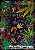 COLORFULPOTLEAFS.jpg image by Possumhead_2007